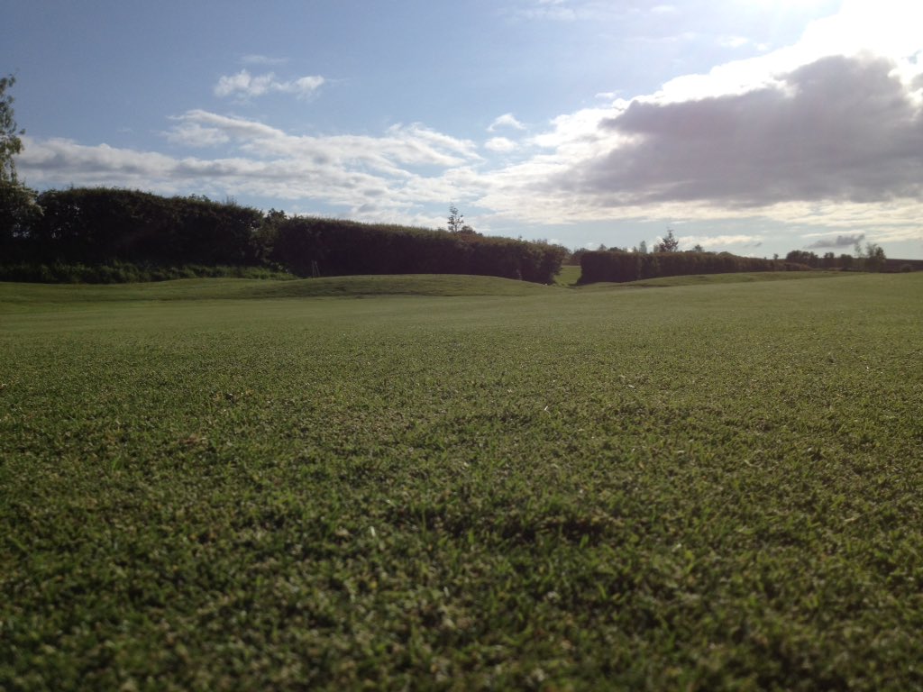 ricki worrall tweet media