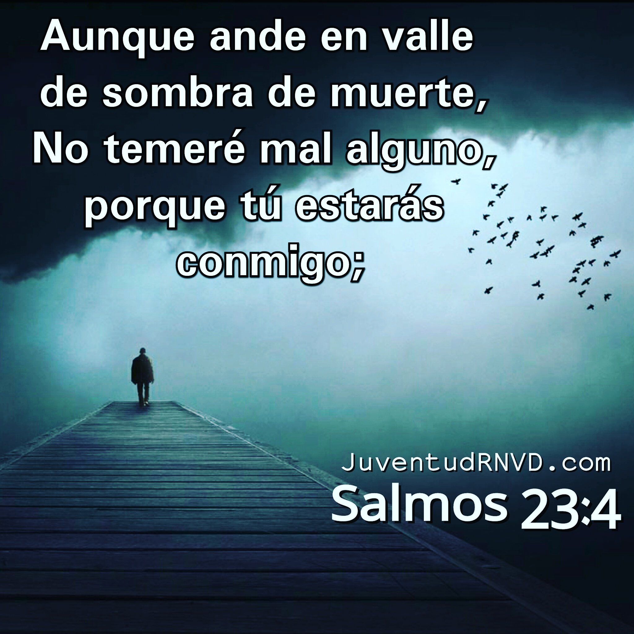 formación matraz hogar Juventud Renovada】 sur Twitter : "Aunque ande en valle de sombra de muerte. No temeré mal alguno; Porque tú estarás conmigo. Salmos 23:4 https://t.co/fhyamgrXgR" / Twitter formación matraz hogar Juventud Renovada】 sur Twitter : "Aunque ande en valle de sombra de muerte. No temeré mal alguno; Porque tú estarás conmigo. Salmos 23:4 https://t.co/fhyamgrXgR" / Twitter