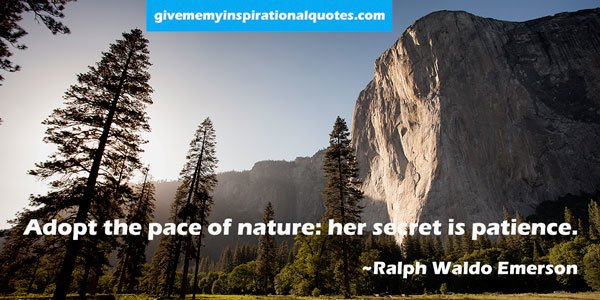 gregInspiration's tweet image. Sunlight and water are important, but nothing grows strong without time.