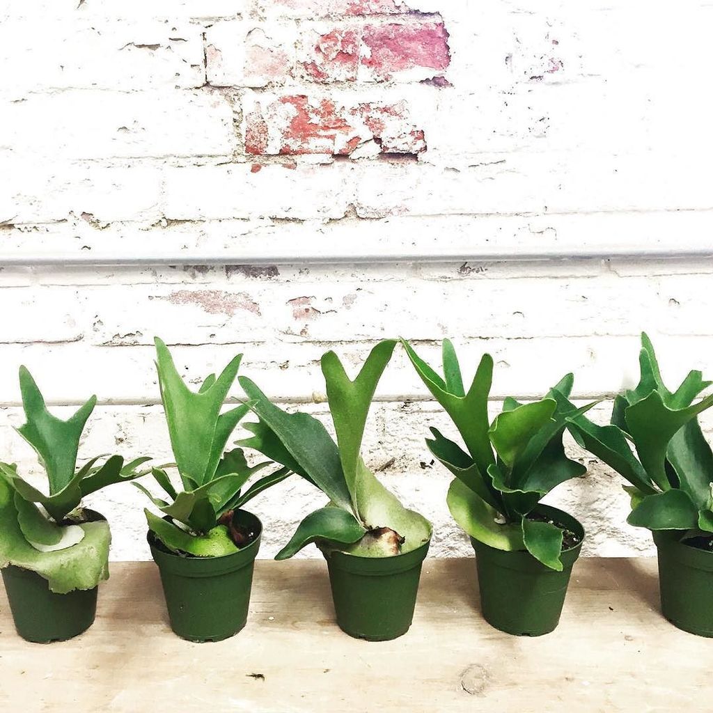 Happy Monday! #mondayvibes ift.tt/1Tzq8gu