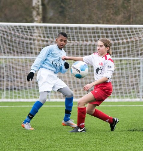 Bron: De Foresters