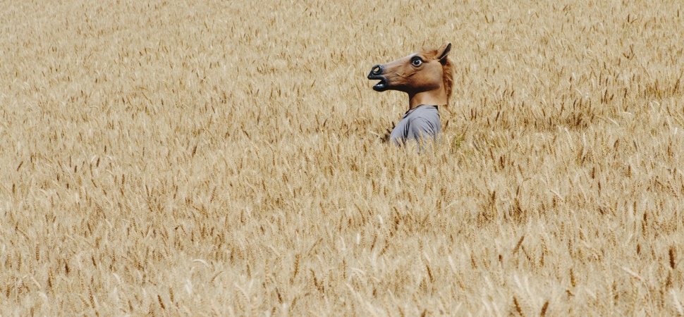 Rita Garcia tweet media