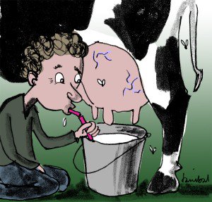 Biolochischere melk dan dit bestaat niet.