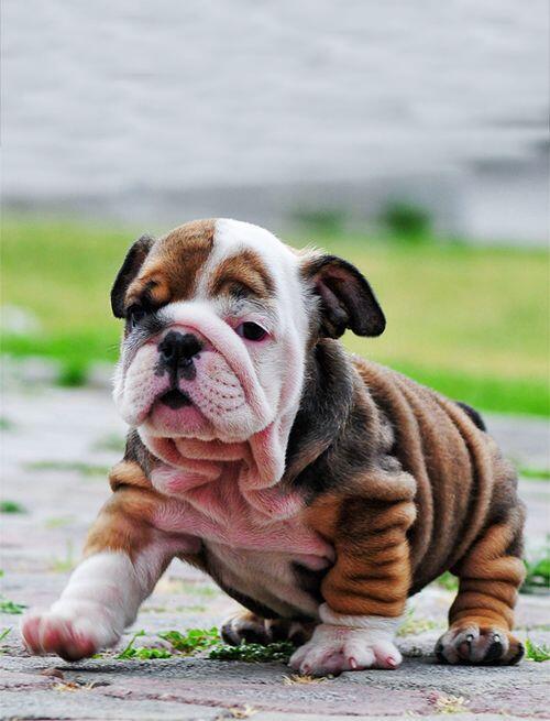 omg the wrinkles!