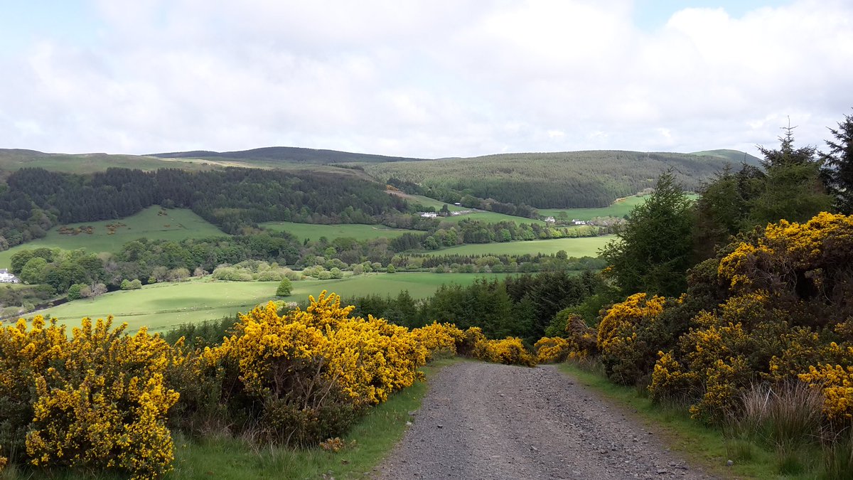 runningkeeper83's tweet photo. https://t.co/GWEofdqOYB @UKRCGlasgow @UKRCScotland @UKRunChat https://t.co/qAbCoFyPUW