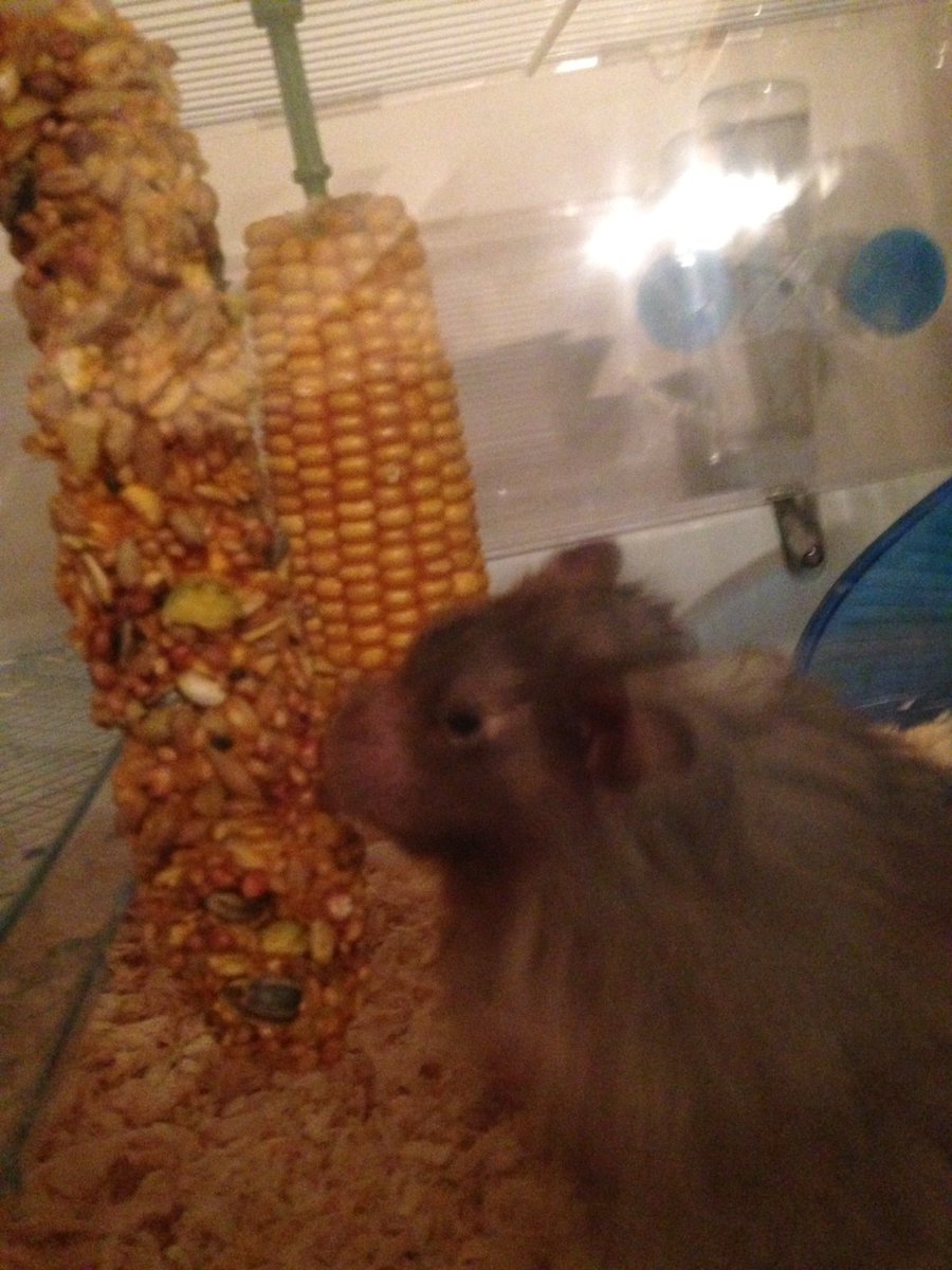 Yummy sticks of goodness, I lufs them. Hx