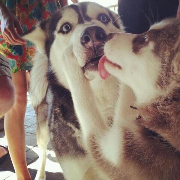 first kisses are the best