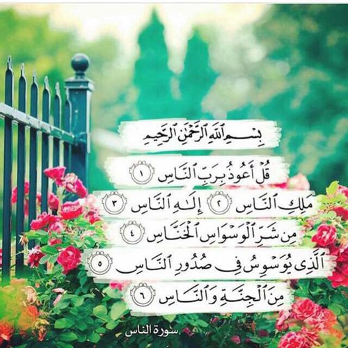 affandy95's tweet image. 