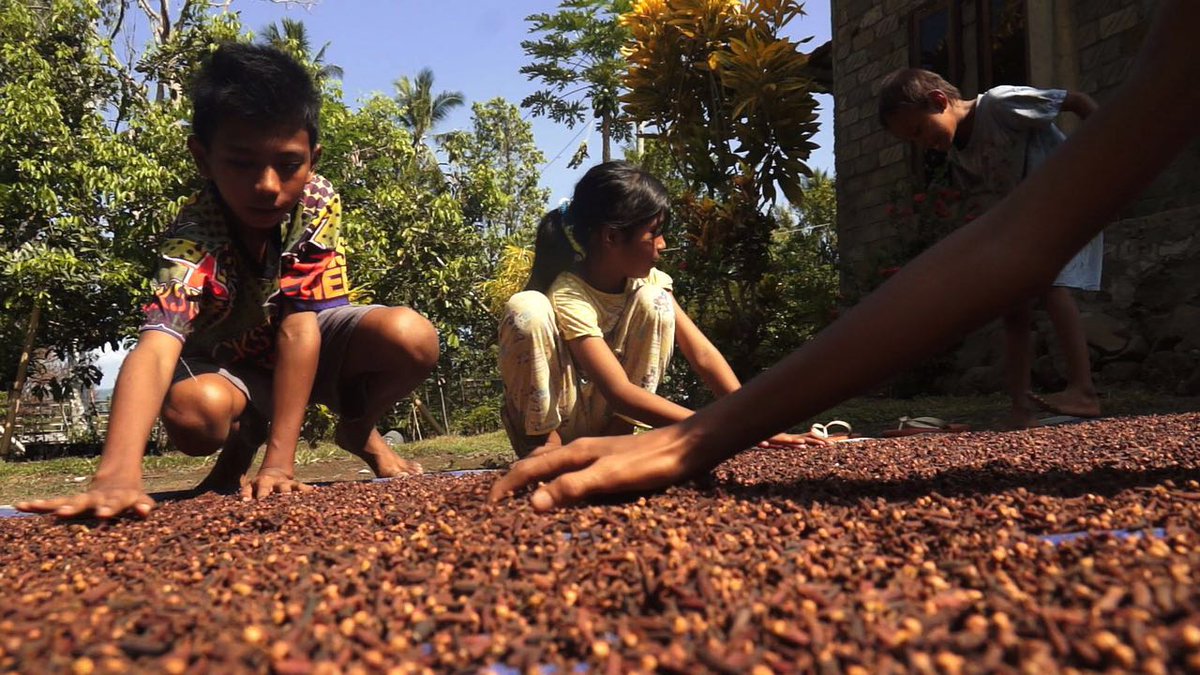 Pagi dari HalBar! Ini kegiatan yang akan sering kamu jumpai kalau main ke Kepulauan Rempah.