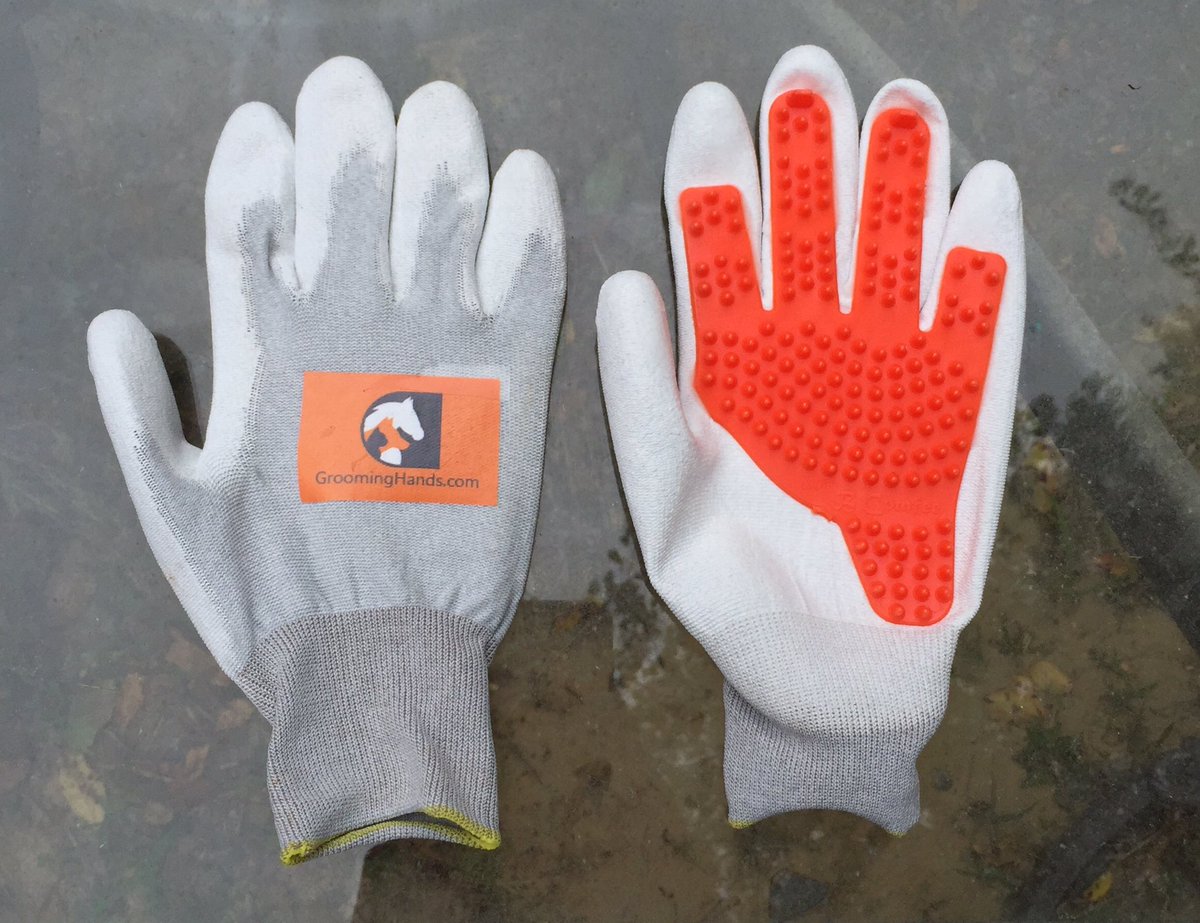 thevelvetrider's tweet image. Be sure to check out Grooming Hands massaging gloves on velvetrider.com! #grooming #groominghands #vrreview