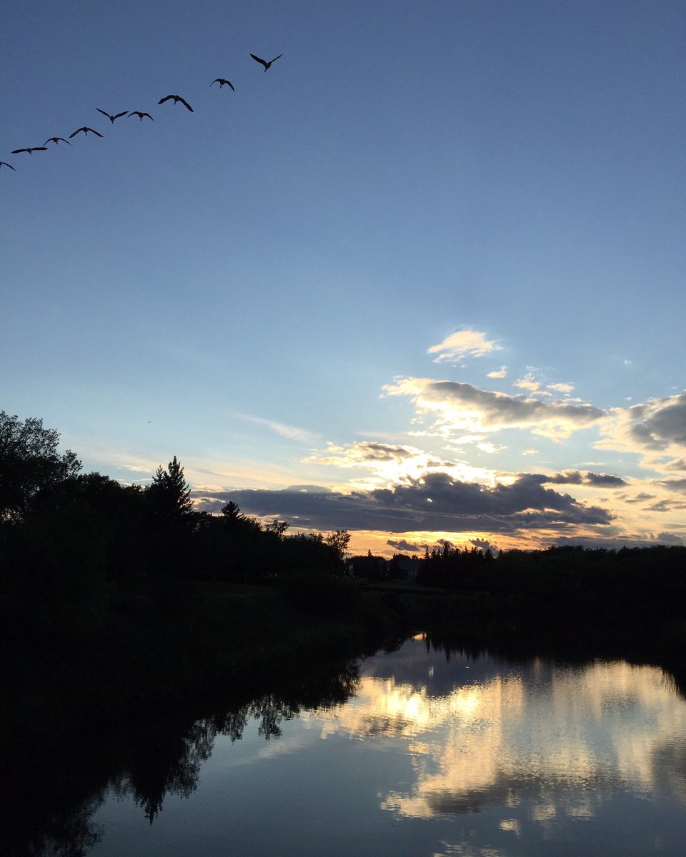 AdFrontPRO's tweet image. Reflecting on a beautiful long weekend. Stay tuned for upcoming news this week. Happy May Long.