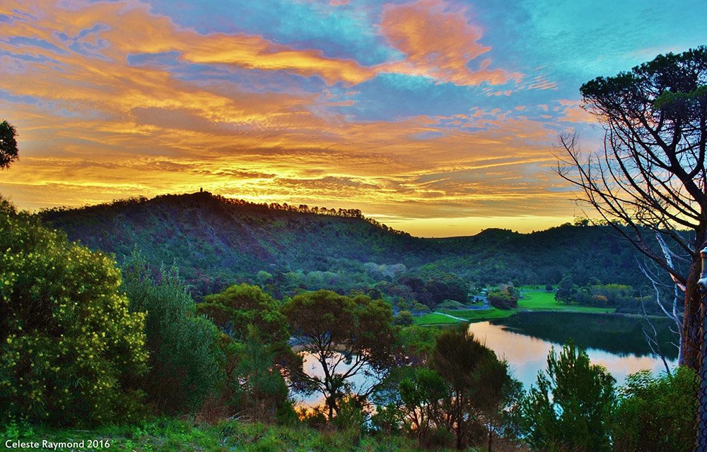 South Australia tweet media