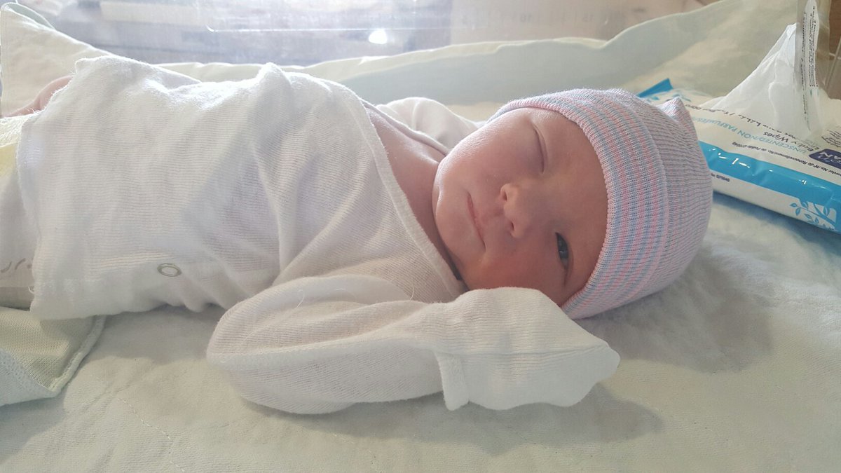 sheurich's tweet photo. World: Meet Taj Sebastian Heurich cc @MelanieHeurich @daleenjudy @FloweringHeart @jbtrains1 @z_attack123 https://t.co/8e5XBNMoWE