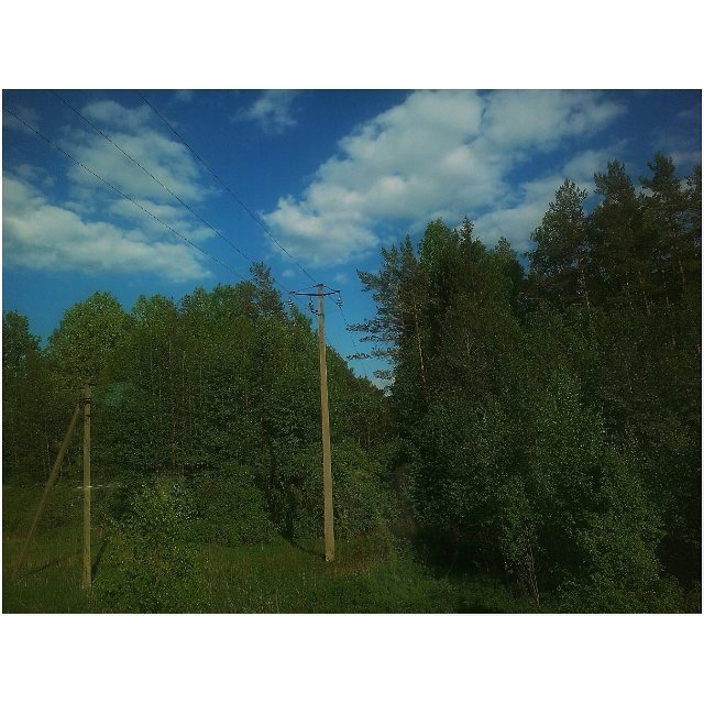 InstaPskov's tweet image. #псковскаяобласть 
#russia #pskovregion #nature #forest #trees #clouds #sky #bluesky #mobiphoto #hdr #snapseed #mob…