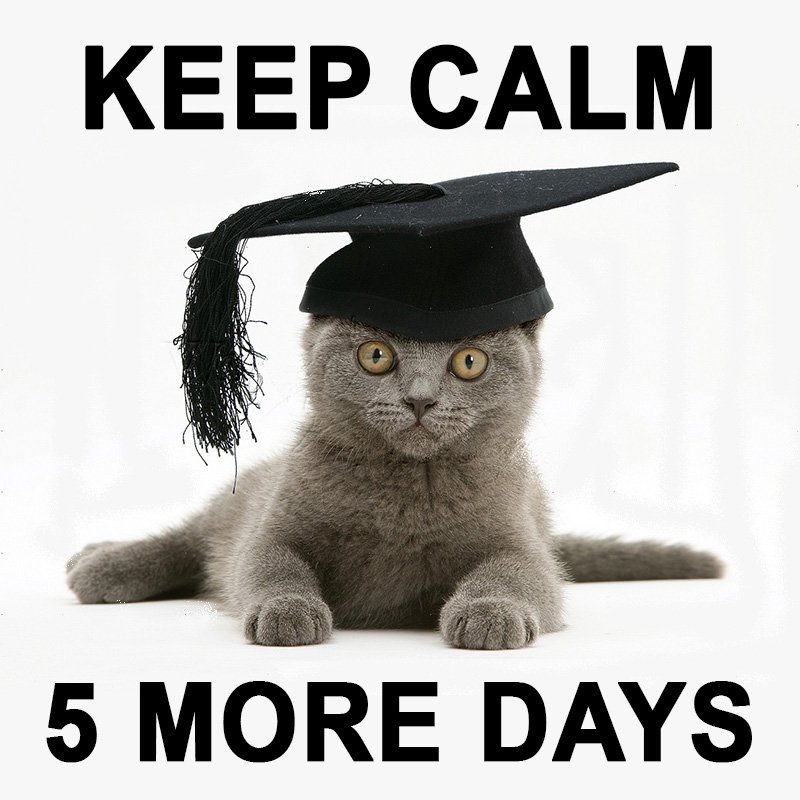 PSJAISD's tweet photo. 5 more days till graduation! #PSJAClassof2016 #GraduationCountdown #MondayMotivation https://t.co/W4LAZl8W8d
