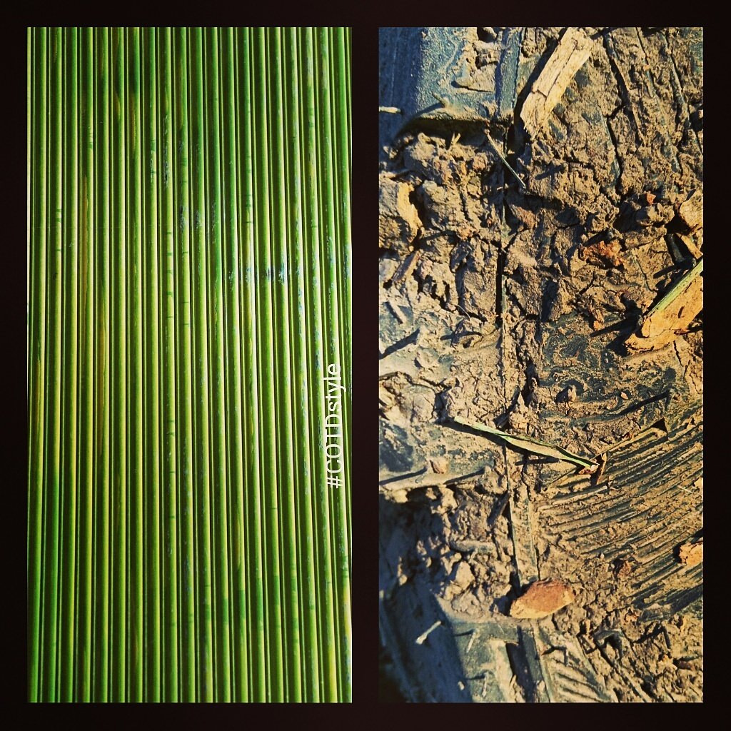 COTDstyle's tweet photo. COTD (colors of the day) TUESDAY: ELY, NV CELERY GREEN DOOR AND AZ DARK BROWN MUD! #COTDstyle #COTDstylechallenge https://t.co/LvmfgRQFYQ