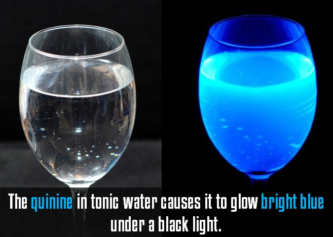 SantaCruzBio's tweet photo. Quinine in tonic water under a black light. #ScienceFun https://t.co/TdDOs03pdQ
