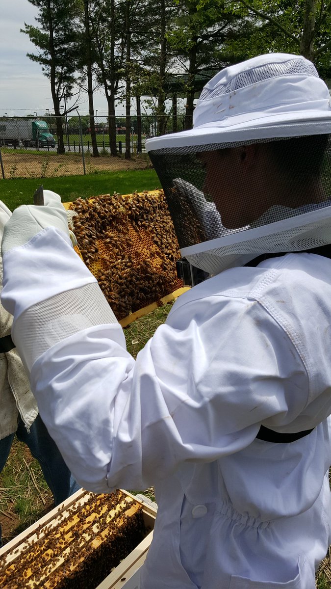 Landscape_CTC tweet media