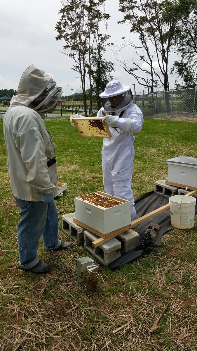 Landscape_CTC tweet media