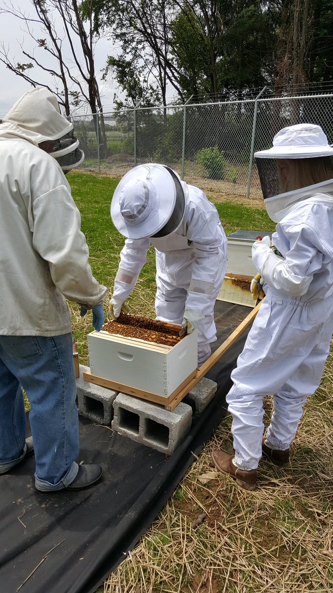 Landscape_CTC tweet media