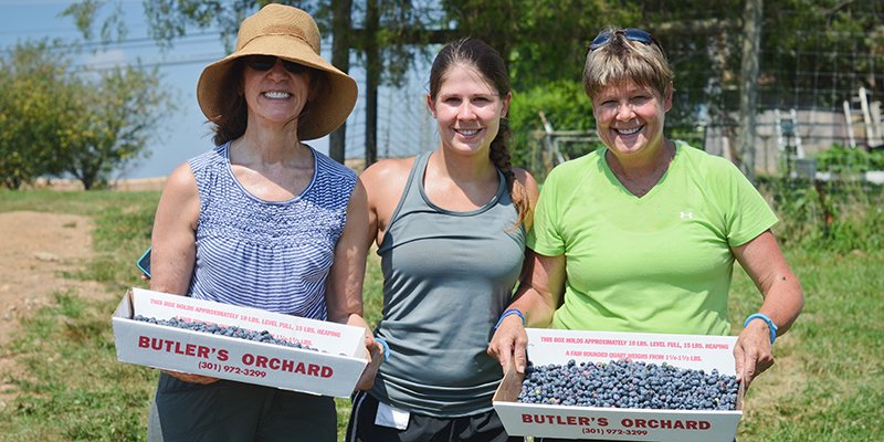 Help us pick fresh produce to use for our meals!  We need volunteers June 2! Sign up at: dccentralkitchen.volunteerhub.com/Events/EventGr…
