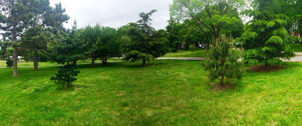 RunEveryStreet's tweet photo. #MiddleVillage in QNs. More cemeteries, RR trax, single fam homes and jewel of @NYCParks #JuniperValley https://t.co/kfvNbR0mcd