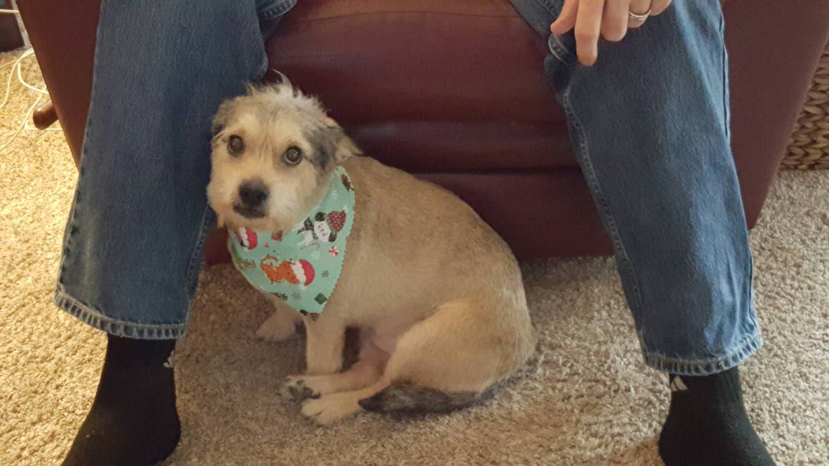 kreppsb's tweet photo. #PowerToThePets #NintendoSweepstakes https://t.co/y5d8lF7dkk