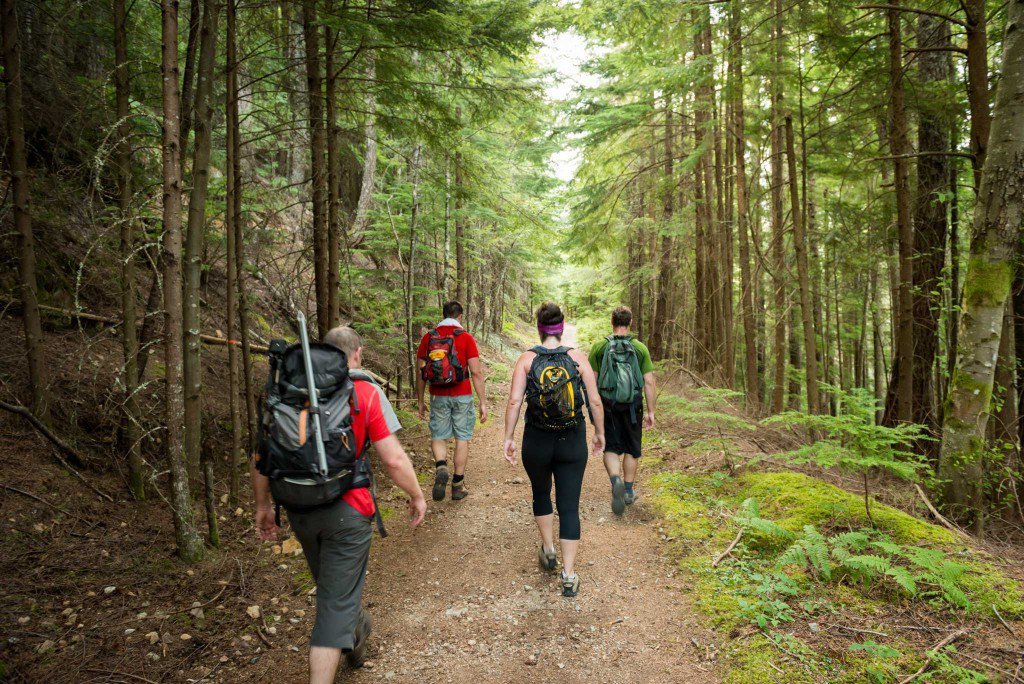 bjgreenberg's tweet photo. What Hiking Does To The Brain Is Pretty Amazing https://t.co/pBL43HNdQU @EcoMyths @OutDoorCheckIn https://t.co/UvqRZAQXoQ