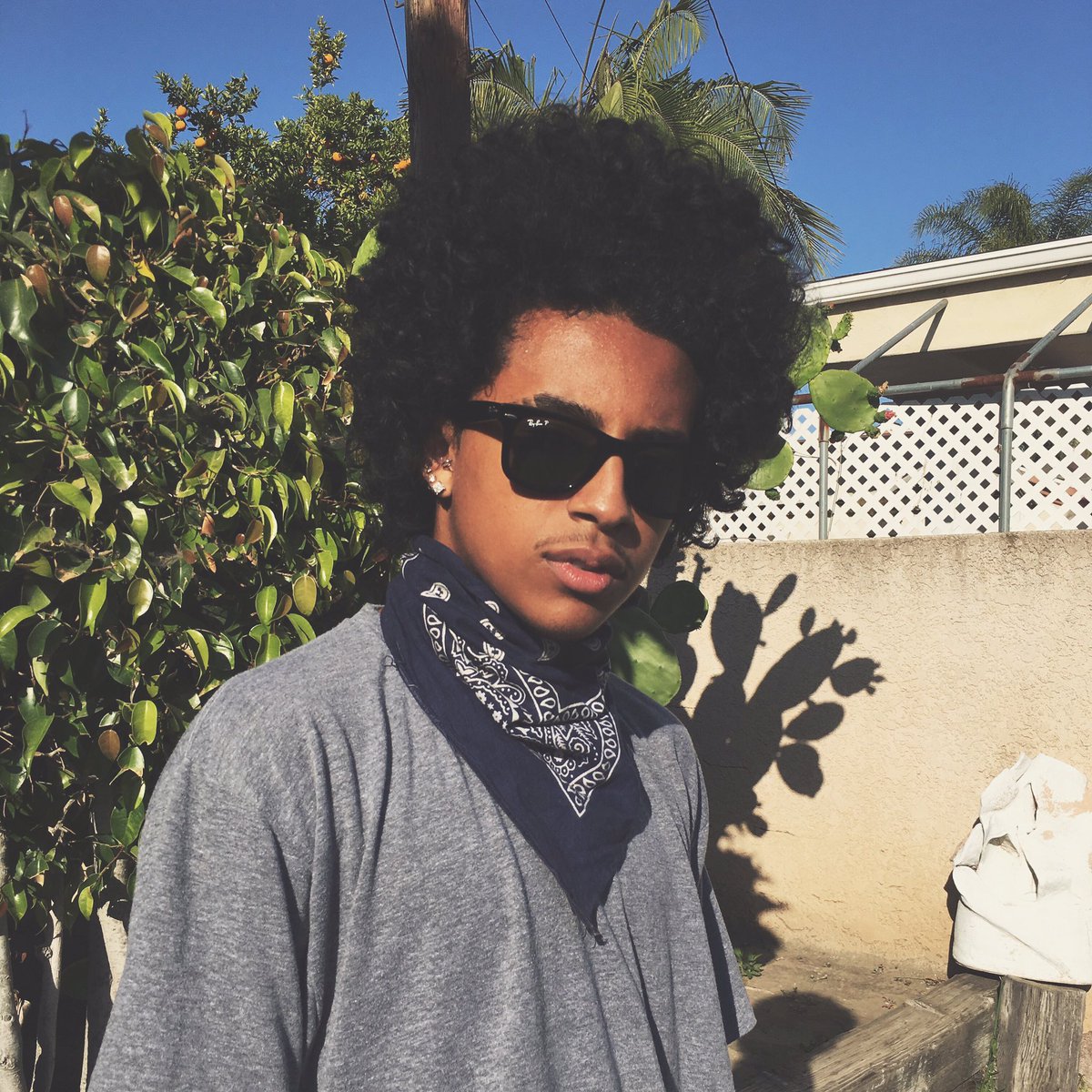 Princeton Perez tweet media
