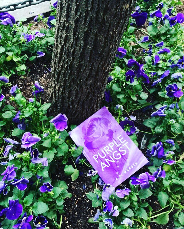 a_g_morgan's tweet photo. Keep climbing in spite of the #purpleangst https://t.co/X5LAIgmCS6