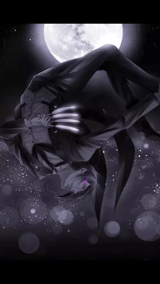 Hello I am Sebastian michealis 
*Not new to rp 
*Not new to character 
*Any rp
*Rt? Or like would help a lot