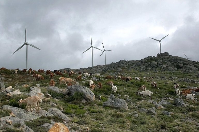 YesilBinalar's tweet photo. Dünyada bir ilk denendi. Portekiz 4 gün boyunca %100 yenilenebilir enerji kullandı... https://t.co/mgYthOlpni https://t.co/8iMmBcQhKJ