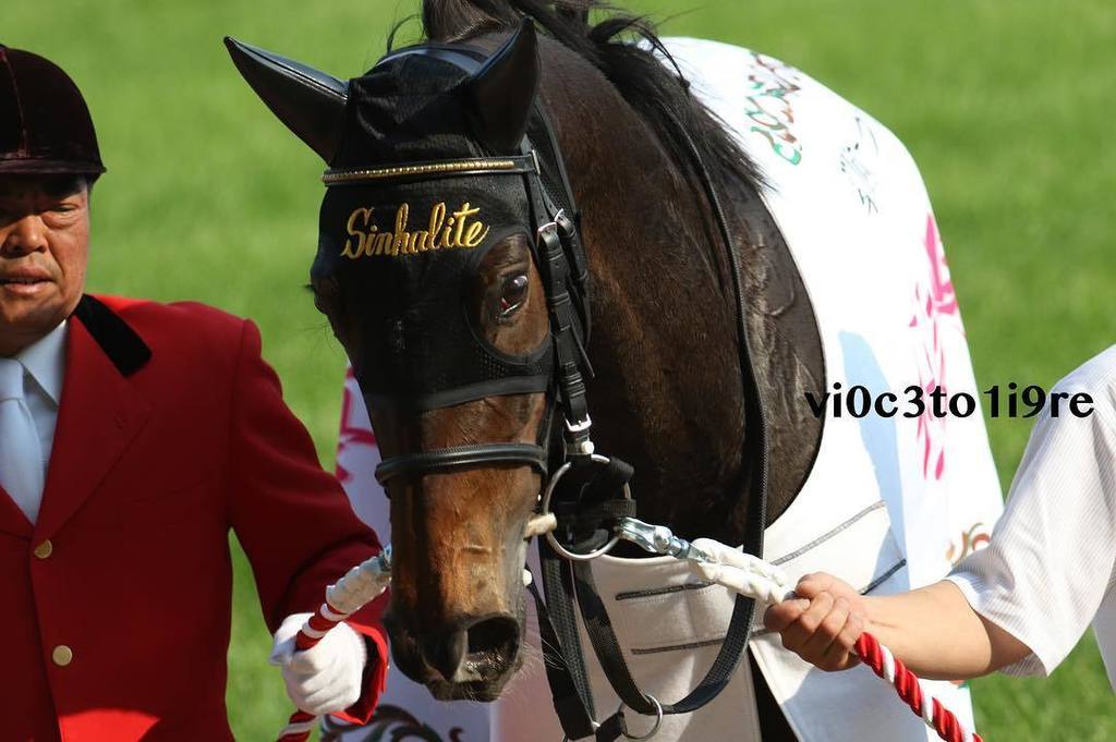 vi0c3to1i9re's tweet photo. 2016オークス表彰式
勝ち馬:シンハライト
#オークス #シンハライト
#sinhalite #東京競馬場
#tokyoracecourse #表彰式 https://t.co/hQHB9kAv4u