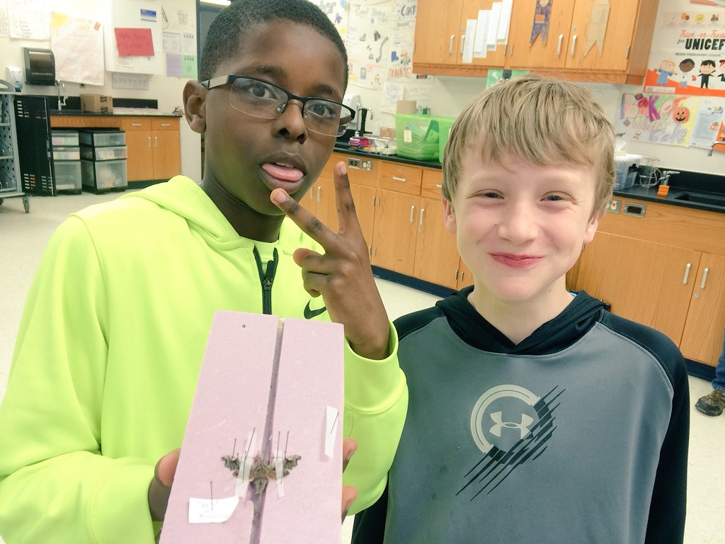 rsvoigt's tweet image. Our #mothproject trapping tonight! Inspired by @MSUBugHouse &amp;amp; @MSUCollegeofEd, 6th Gr ecologists design own research