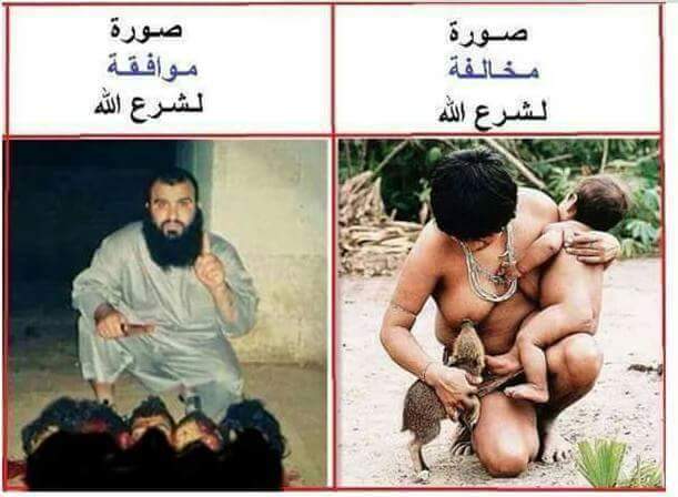 ايهما يدخل الجنة ...