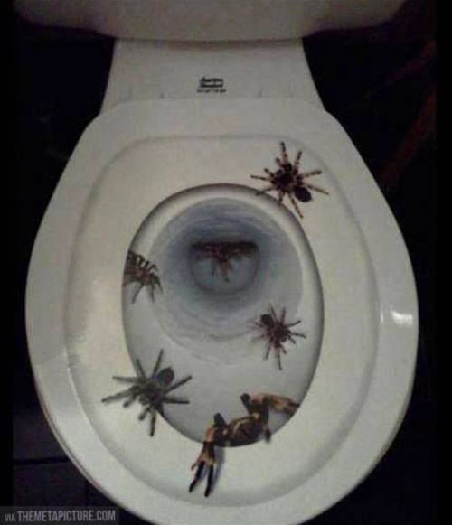 FavoriteHorror on X: "Love it! 33 Hilarious Toilet Seat Covers to Trick  Your Houseguests #horror https://t.co/R2iFnQ9f8n https://t.co/bFstaYaVox" /  X