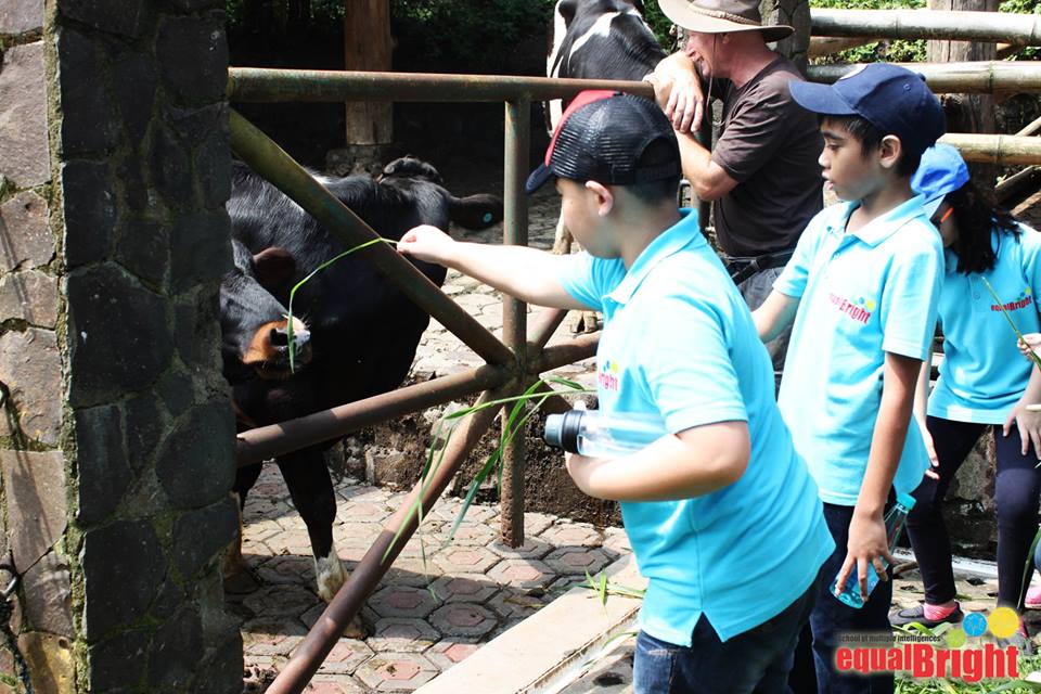 EqualBrightBdg's tweet photo. Milepost 2 students visited Dago Dairy, a local farm in Lembang. https://t.co/KTUiqf35Jq