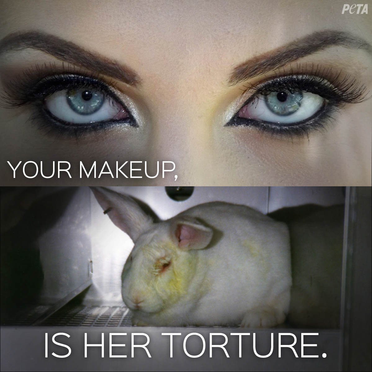 PETA on Twitter: PETA on Twitter: