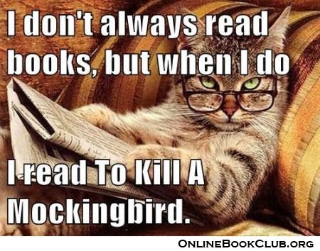Funny Pictures at Online Book Club buff.ly/1XOJBNm  I love this... a little cat humor -