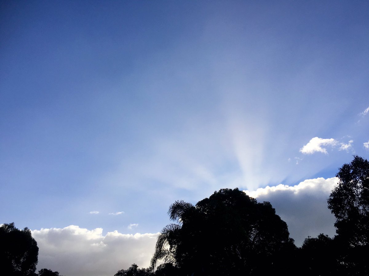 beata_mounsey's tweet photo. Gelorup b4 9am this morning @BunburyWeather @MORECAST_Au @jr_the_ferret @ashleaeve @CloudAppSoc @Weather_Beauty https://t.co/S0KwhytjnE