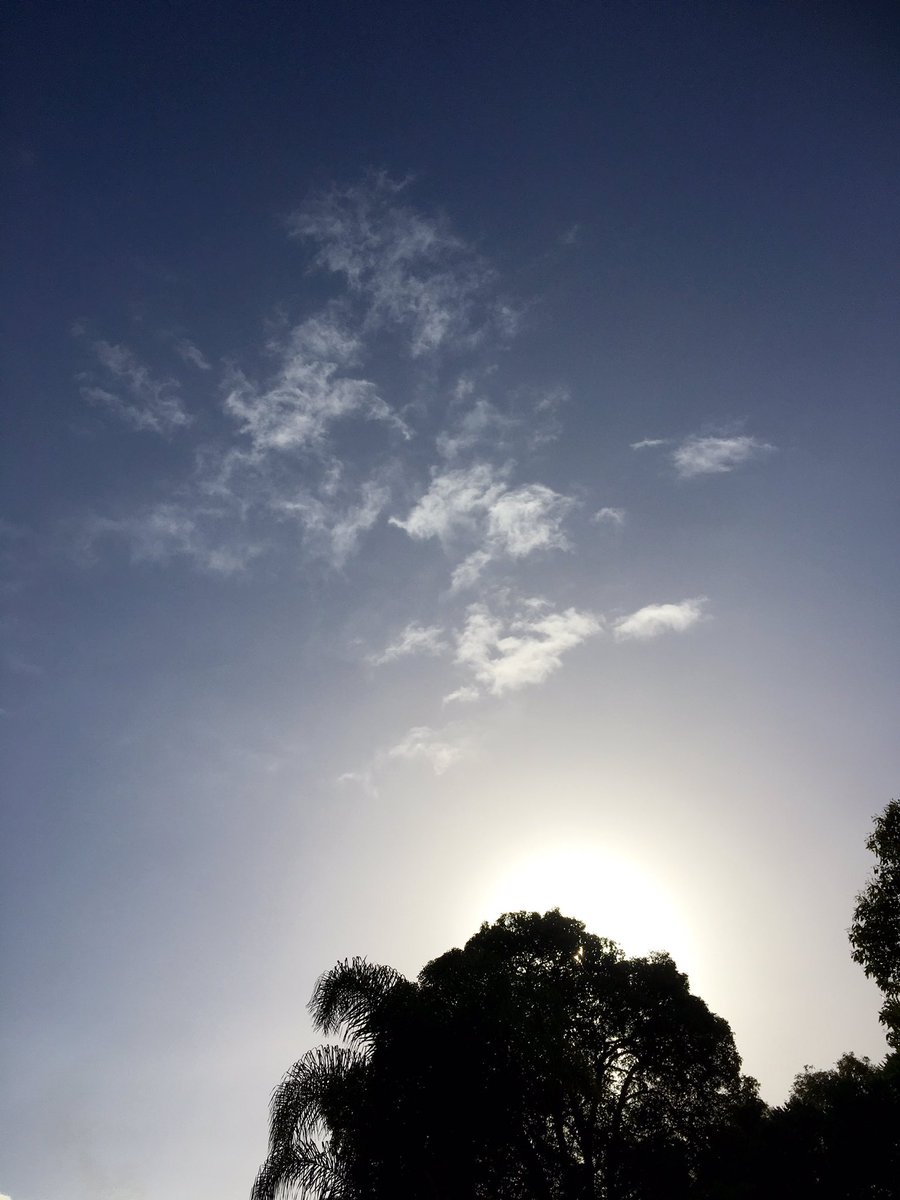 beata_mounsey's tweet photo. Gelorup b4 9am this morning @BunburyWeather @MORECAST_Au @jr_the_ferret @ashleaeve @CloudAppSoc @Weather_Beauty https://t.co/S0KwhytjnE