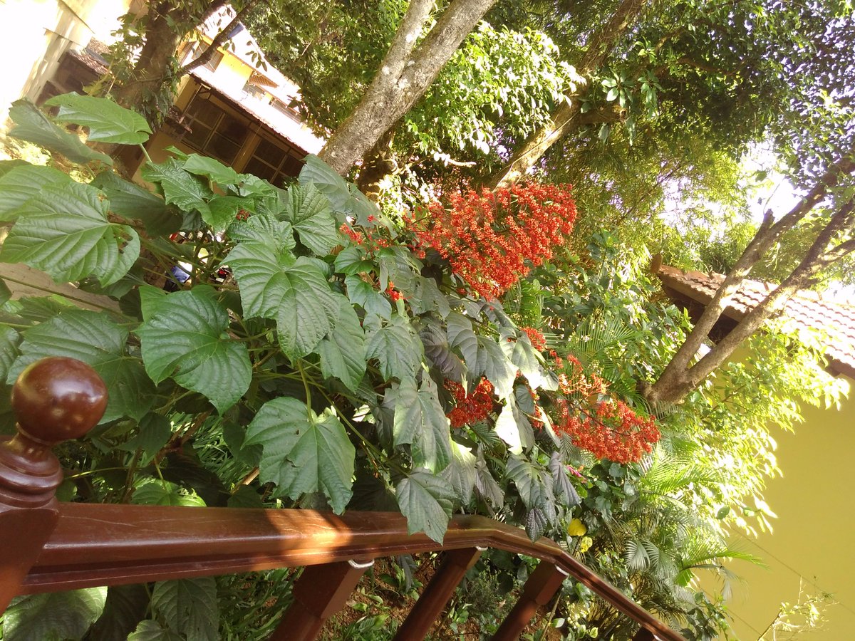 SimbusTech's tweet photo. #Nature #breaktime #good #sessions covered for #VSINDIA #PARTNERS #3DSPARTNERWKSHP https://t.co/egKzvt9Zk1
