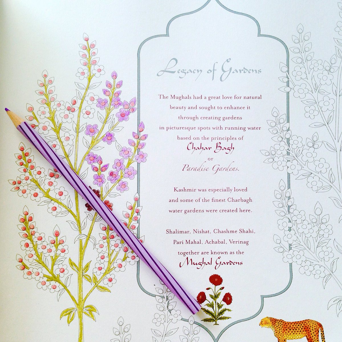 flowperspective's tweet image. #DigitalDetox

#Mercury Rx 🔙 is over!
Out of storm phase shadow in couple weeks 🔜

Meanwhile: #KeepCalmAndAnalogOn 📚