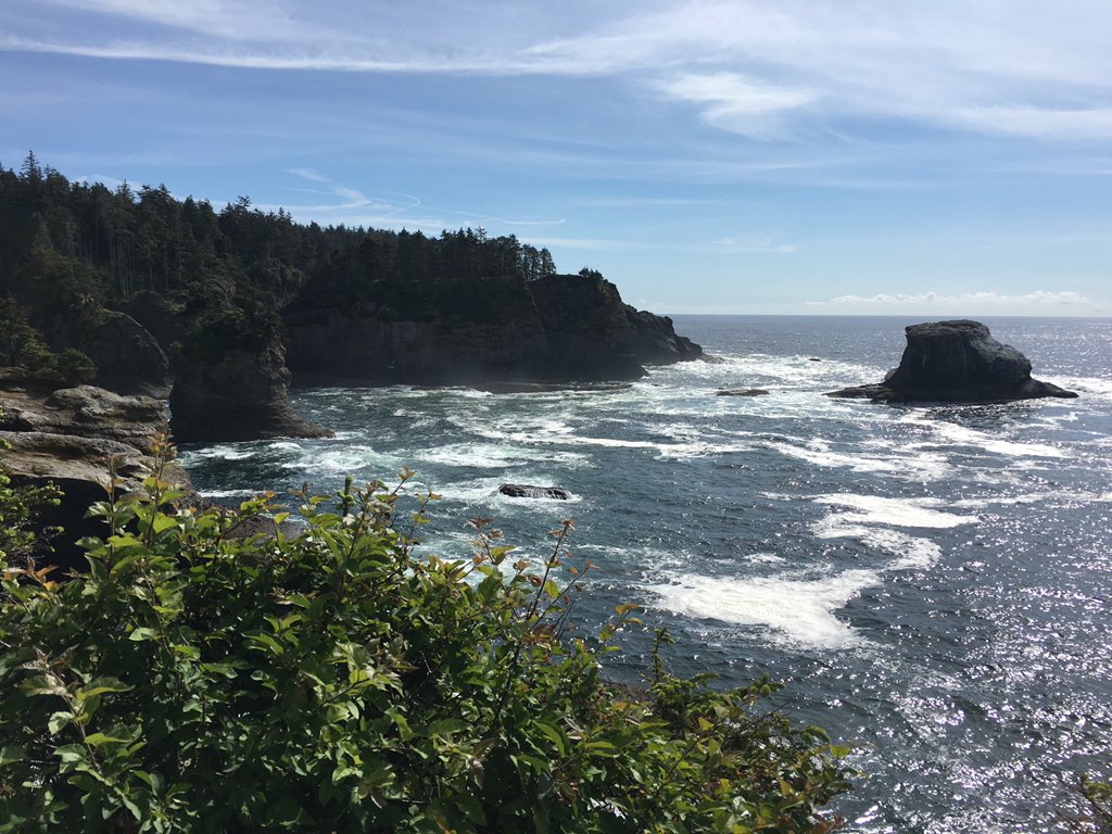datcampus's tweet photo. Examining ancient look-out camps. Touching cedar trees. Tasting licorice root. Listening to whaling songs #immersion https://t.co/HSvbKKbvra