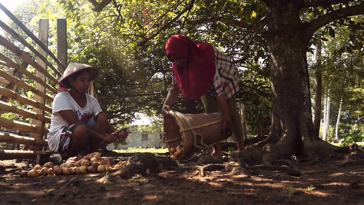 Seberapa kenal kamu dengan rempah-rempah?