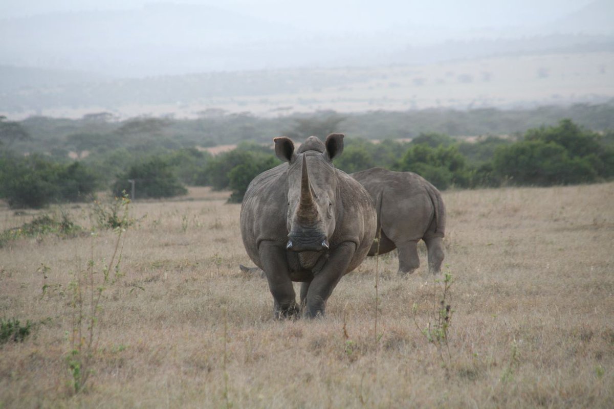 UNEP's tweet image. Joint Action for Transforming Our World - #MEASynergies in focus at #UNEA2, 25 May at 1300 hrs #ACPMEAs