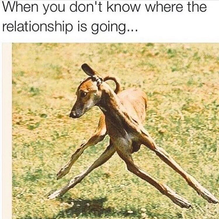 ForeverMalika's tweet image. We don't always know the direction, just keep moving.