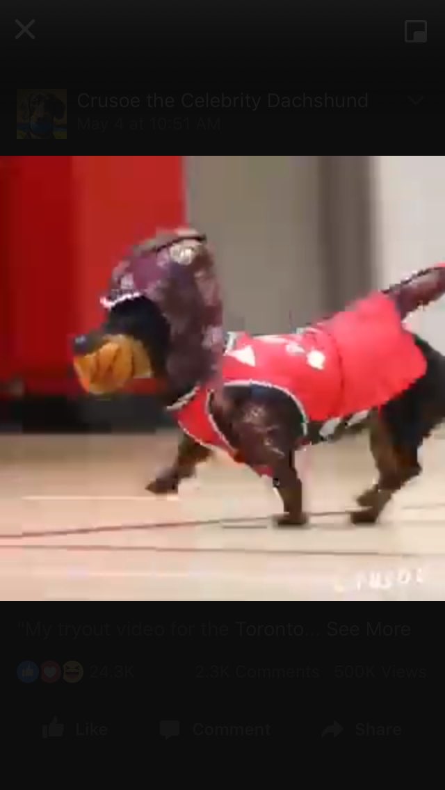 hmusingle's tweet image. 