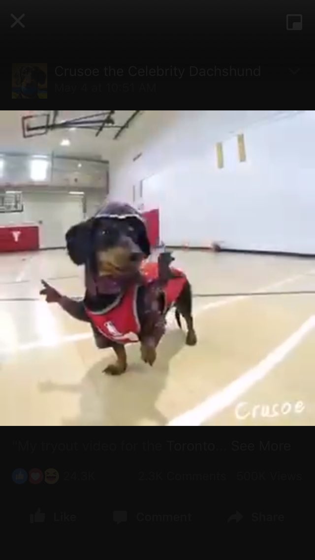 hmusingle's tweet image. 