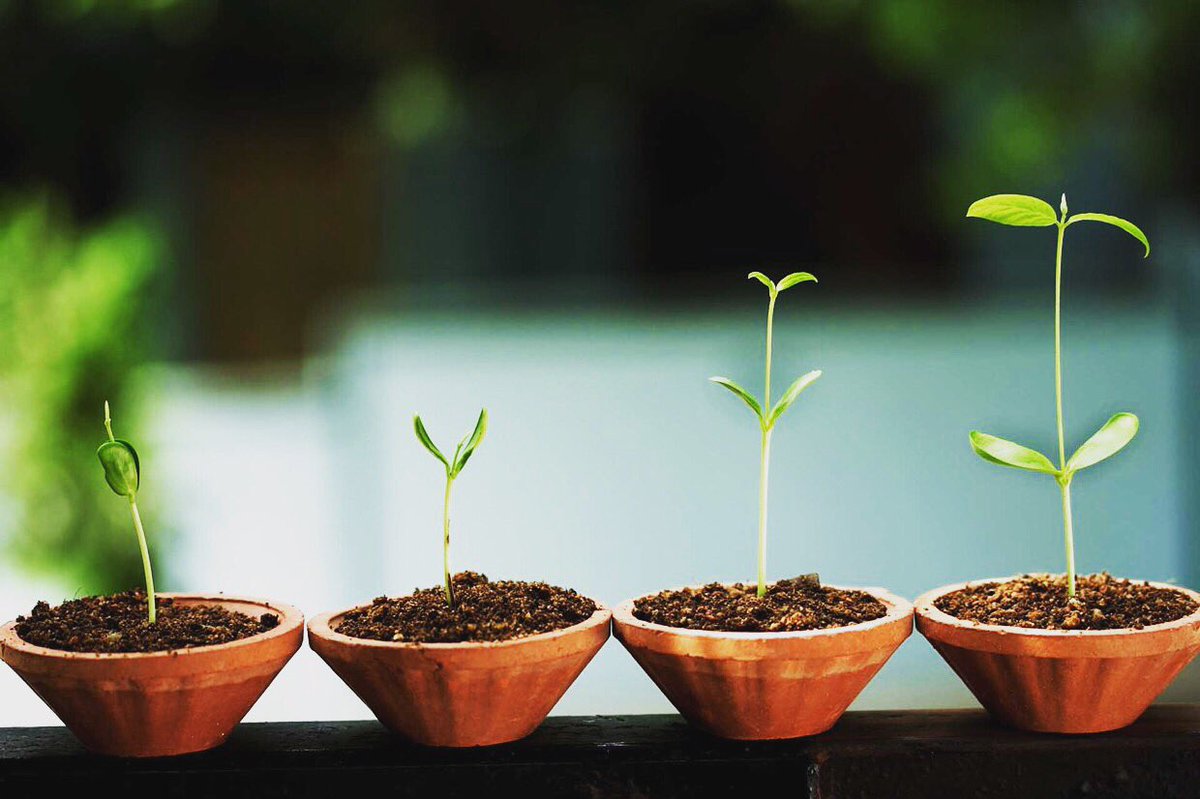 markedible's tweet photo. #startup #business #onlineshopping #greenmarket #buy #sell #exchange #donate #produce #vegetables #farms #fruits https://t.co/mJRXEfPFNk